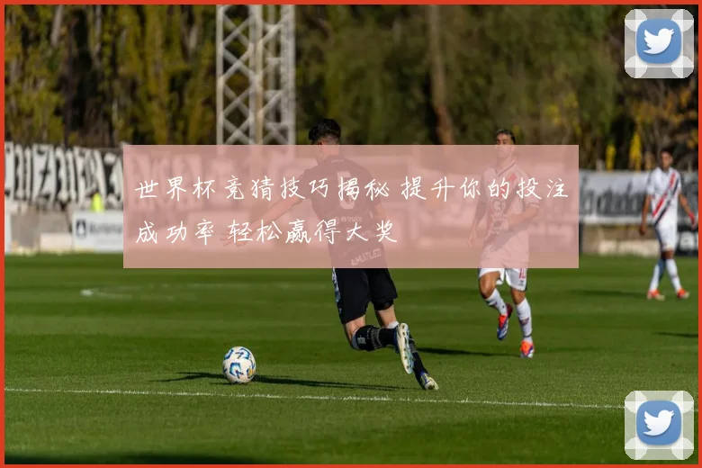 世界杯竞猜技巧揭秘 提升你的投注成功率 轻松赢得大奖