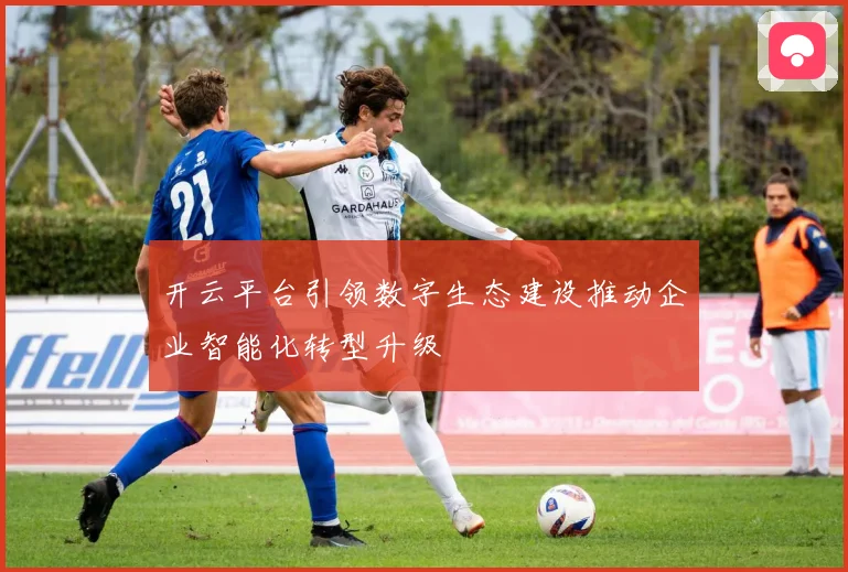 开云平台引领数字生态建设推动企业智能化转型升级