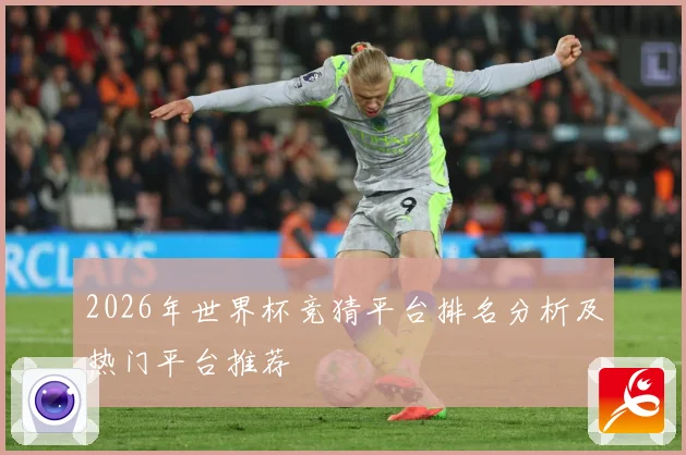 2026年世界杯竞猜平台排名分析及热门平台推荐