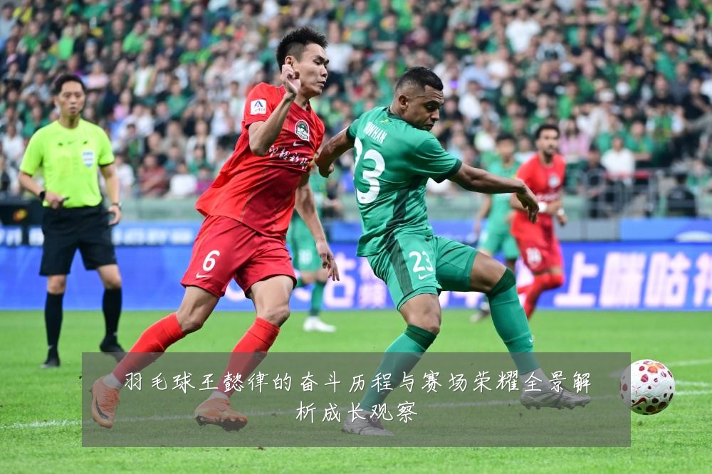 羽毛球王懿律的奋斗历程与赛场荣耀全景解析成长观察